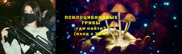 винт Богданович