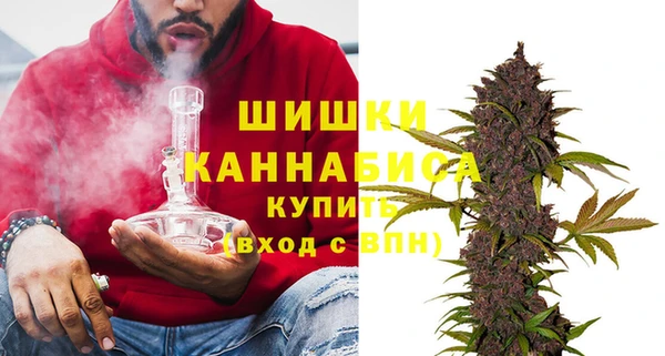 ПСИЛОЦИБИНОВЫЕ ГРИБЫ Михайловка
