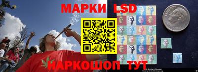 спайс Будённовск