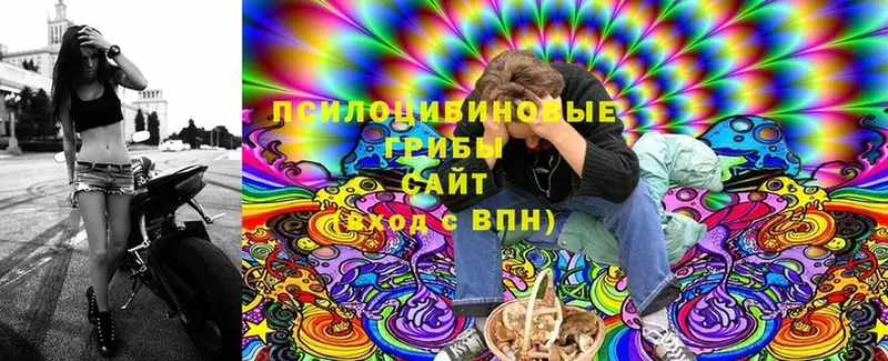 купить закладку  Калуга  Галлюциногенные грибы Magic Shrooms 