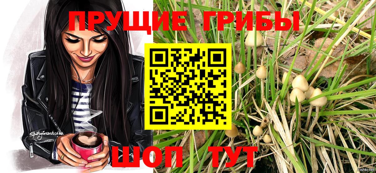 Галлюциногенные грибы Magic Shrooms Калуга