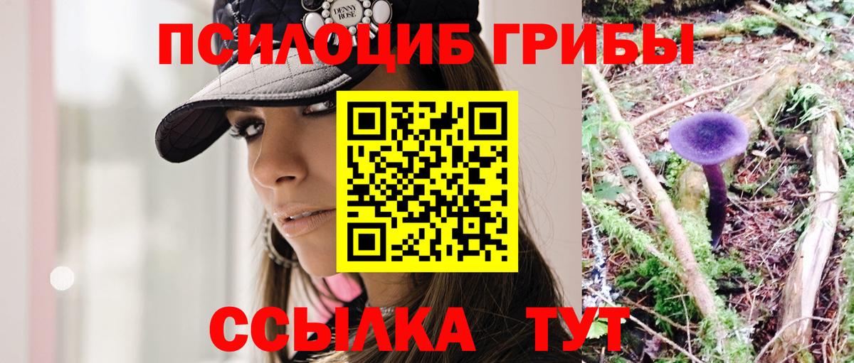 Псилоцибиновые грибы MAGIC MUSHROOMS Калуга
